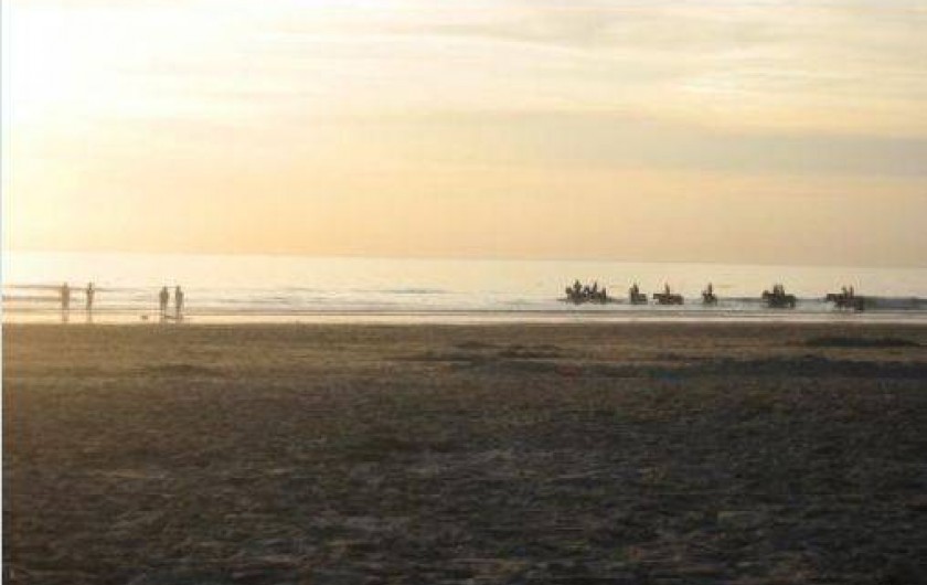 Location de vacances - Château - Manoir à Saint-Yzans-de-Médoc