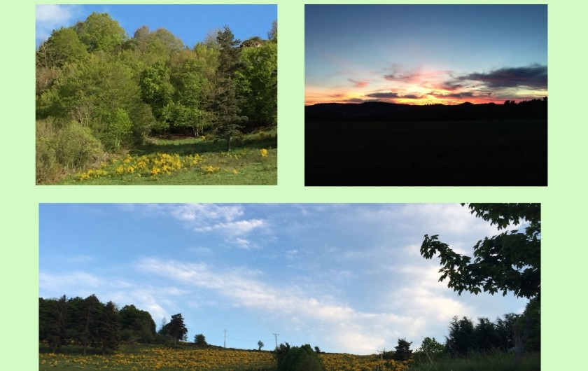 Location de vacances - Chalet à Lafarre - le paysage