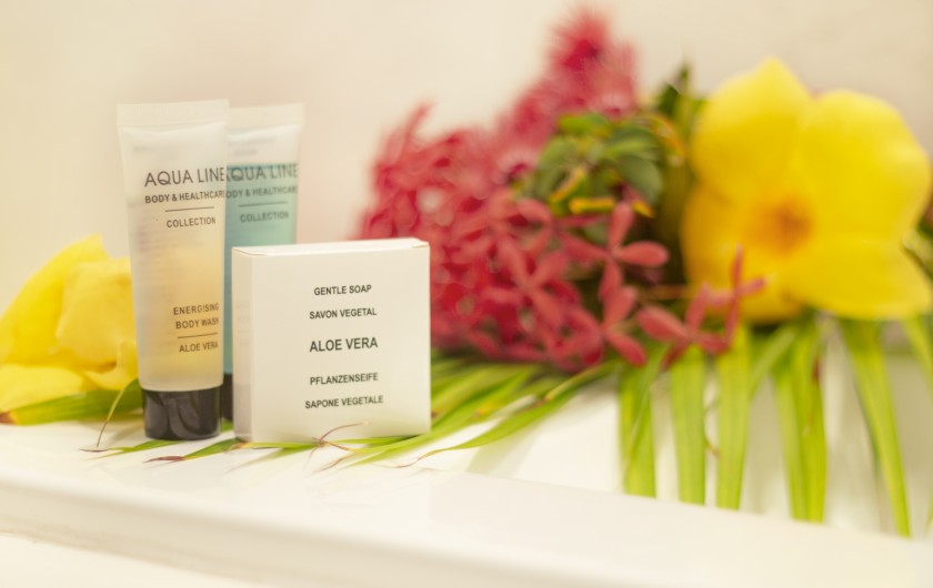 Location de vacances - Villa à Saint-Martin