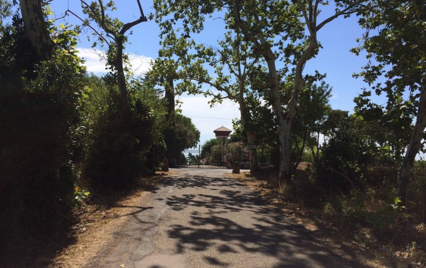 Location de vacances - Gîte à Vias - Allée menant au domaine