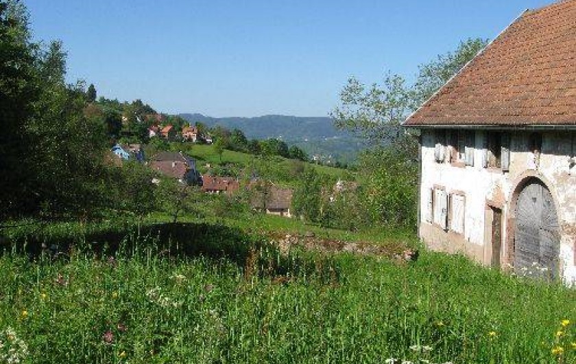 Location de vacances - Gîte à Solbach