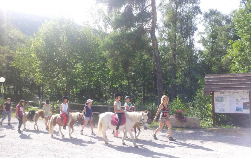 Location de vacances - Chalet à La Bréole - Sorties poney au camping