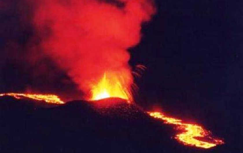Location de vacances - Bungalow - Mobilhome à Le Tampon