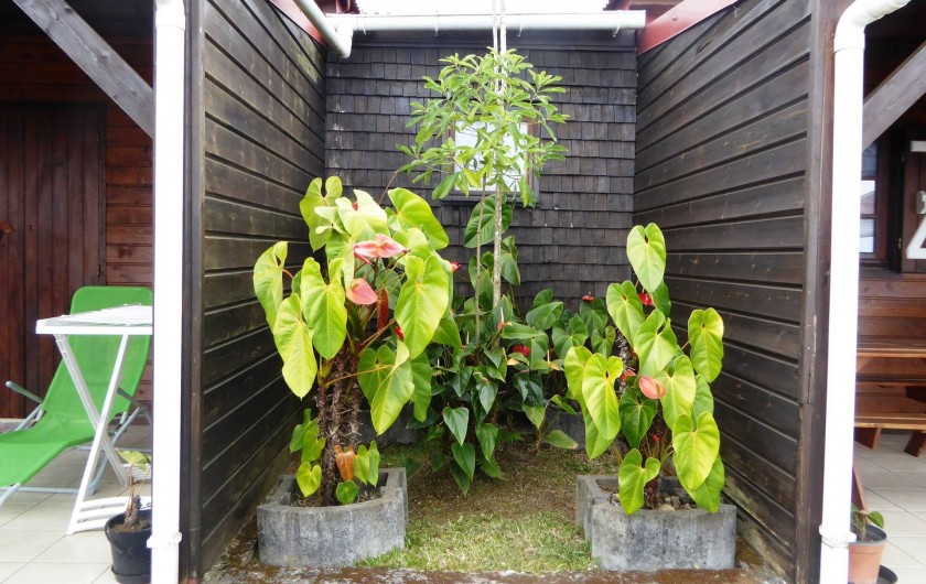 Location de vacances - Bungalow - Mobilhome à Le Tampon