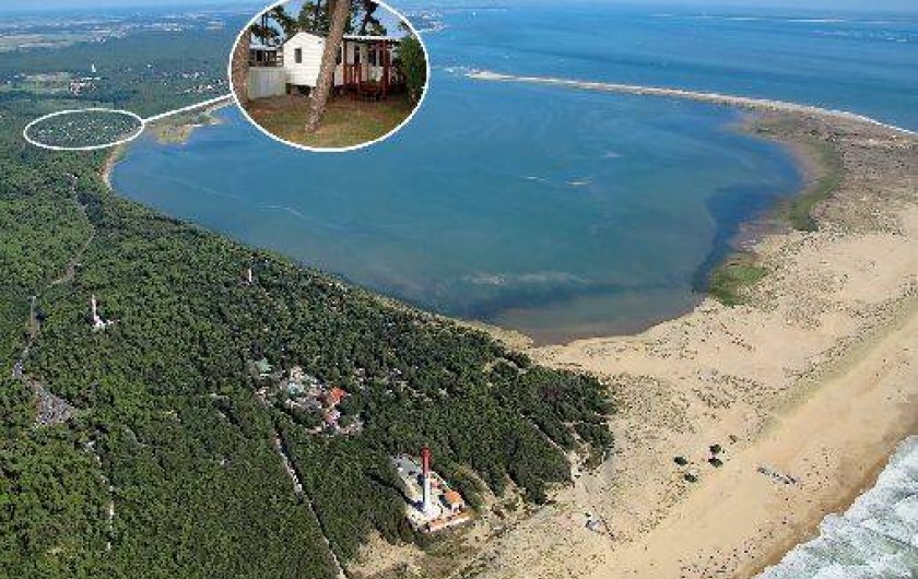 Location de vacances - Camping à La Palmyre