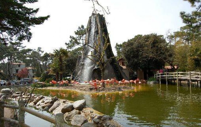 Location de vacances - Camping à La Palmyre