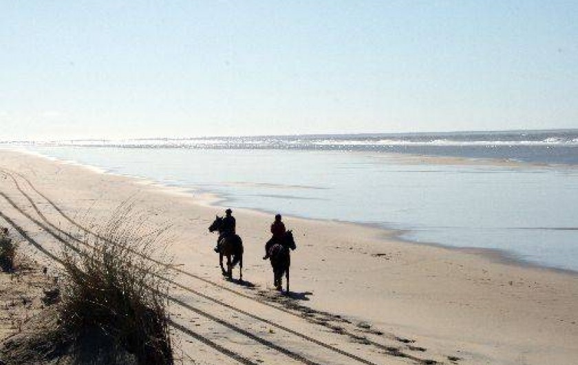 Location de vacances - Camping à La Palmyre