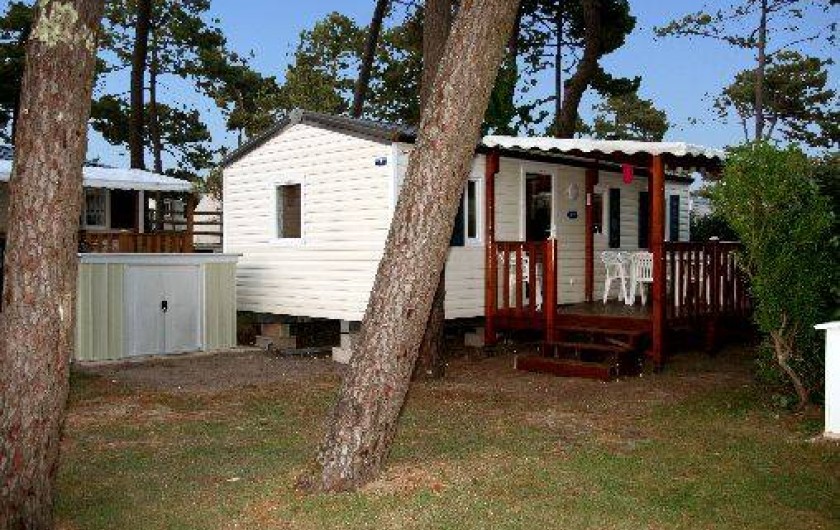 Location de vacances - Camping à La Palmyre