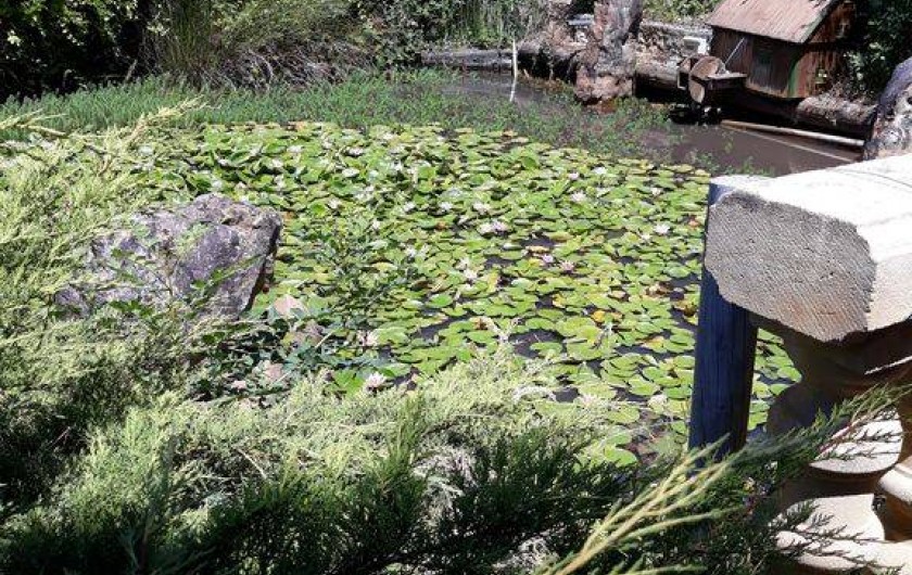 Location de vacances - Gîte à Saint-Geyrac