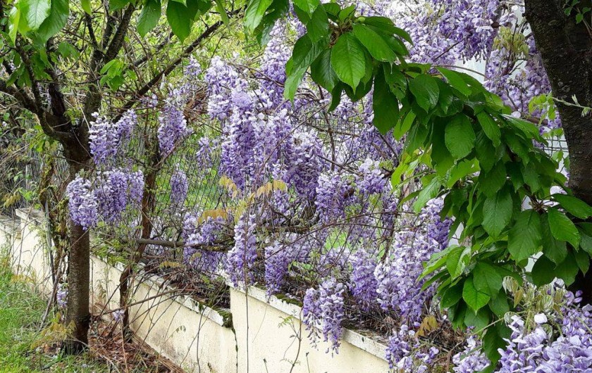 Location de vacances - Gîte à Saint-Geyrac