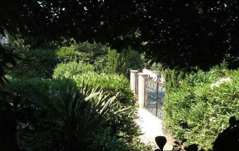 Location de vacances - Appartement à Rayol-Canadel-sur-Mer