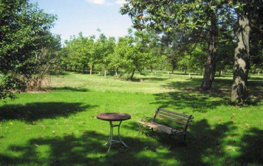 Location de vacances - Maison - Villa à Sainte-Livrade-sur-Lot