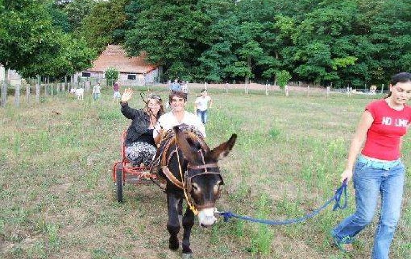 Location de vacances - Château - Manoir à Écommoy
