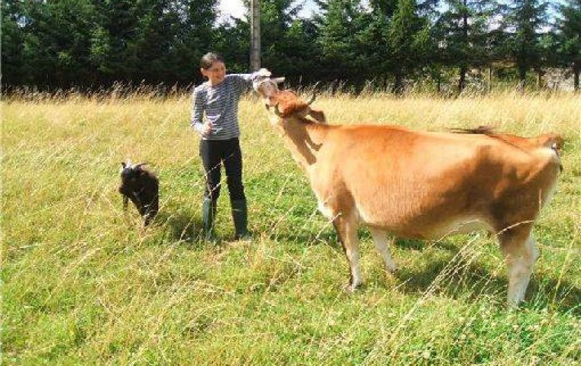 Location de vacances - Château - Manoir à Écommoy