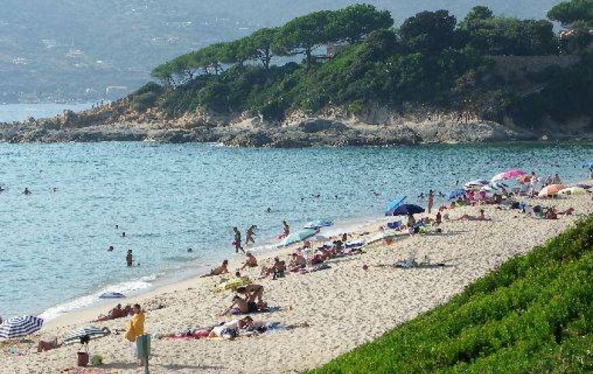 Location de vacances - Maison - Villa à Vico