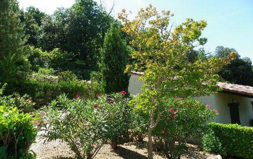 Location de vacances - Maison - Villa à Vico