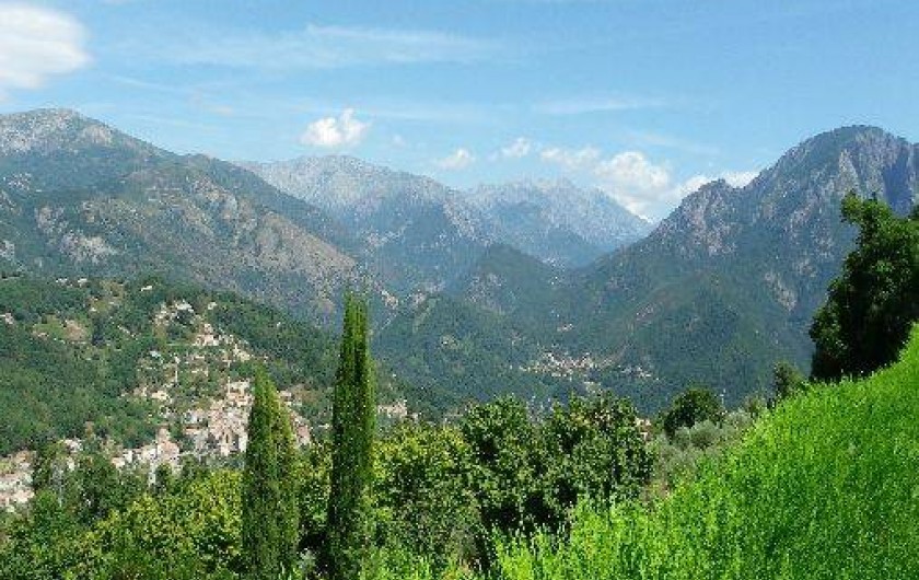 Location de vacances - Maison - Villa à Vico