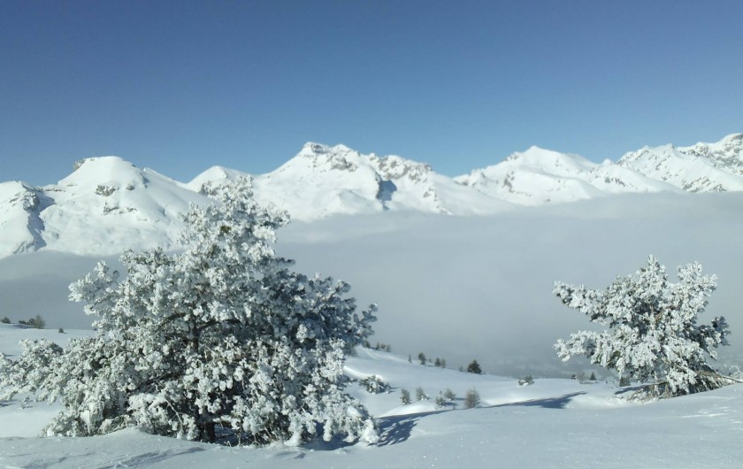 Location de vacances - Chalet à La Joue du Loup