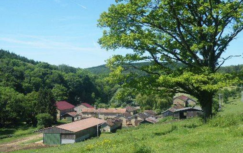 Location de vacances - Insolite à Balaives-et-Butz