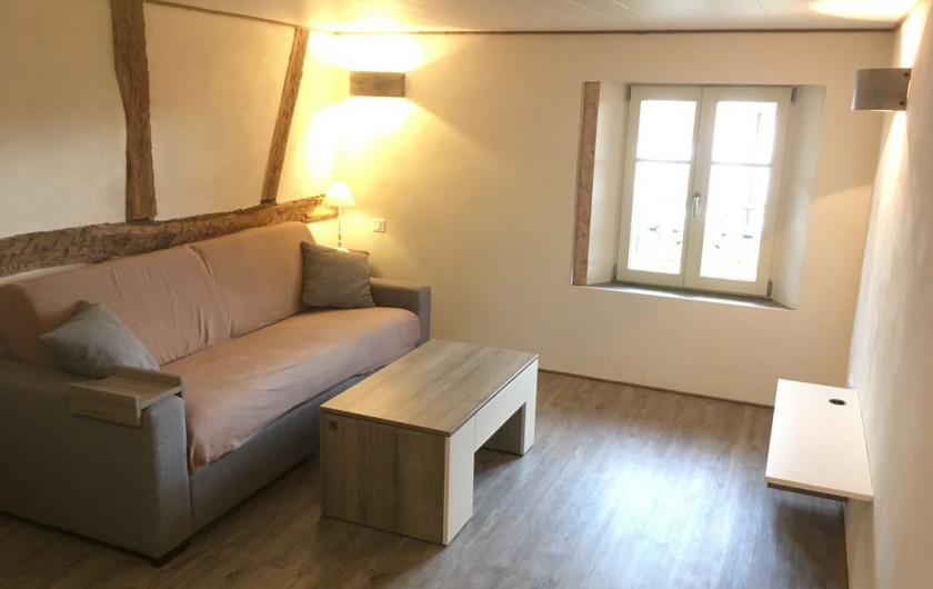 Location de vacances - Studio à Belles-Forêts - Canapé lit confortable dimension 160/200