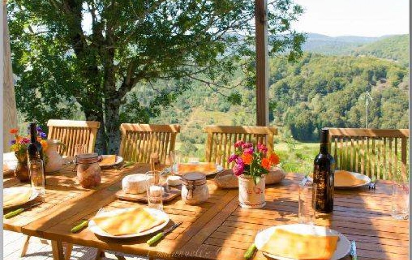 Location de vacances - Gîte à Le Pont-de-Montvert - Terrasse grand chalet 1