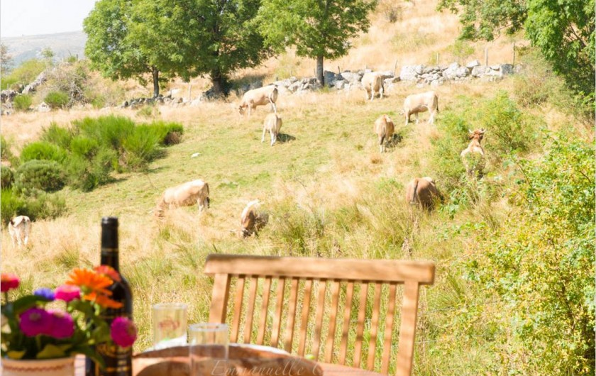 Location de vacances - Gîte à Le Pont-de-Montvert - Vue des chalets