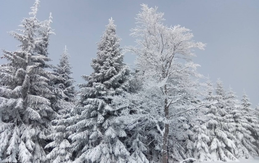 Location de vacances - Gîte à Le Pont-de-Montvert - Neige Lozère 1