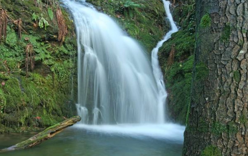 Location de vacances - Gîte à Le Pont-de-Montvert - Rivière 2