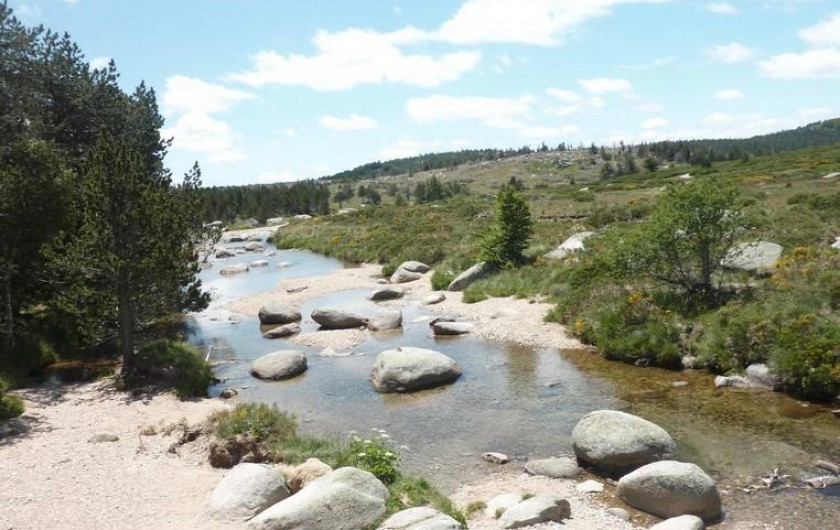 Location de vacances - Gîte à Le Pont-de-Montvert - Le Pont du Tarn