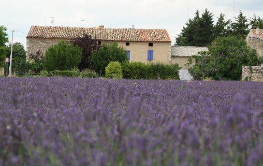 Location de vacances - Gîte à Sainte-Croix-du-Verdon