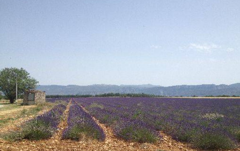 Location de vacances - Gîte à Sainte-Croix-du-Verdon