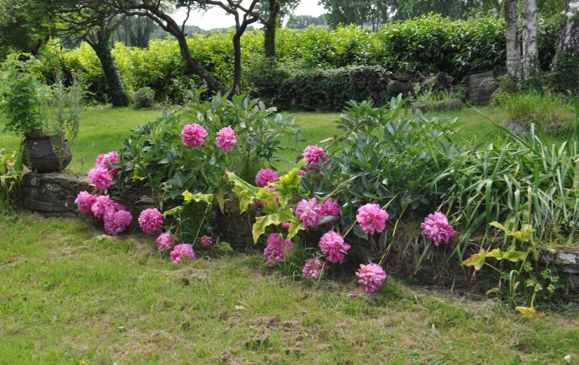 Location de vacances - Chambre d'hôtes à Mont-Dol