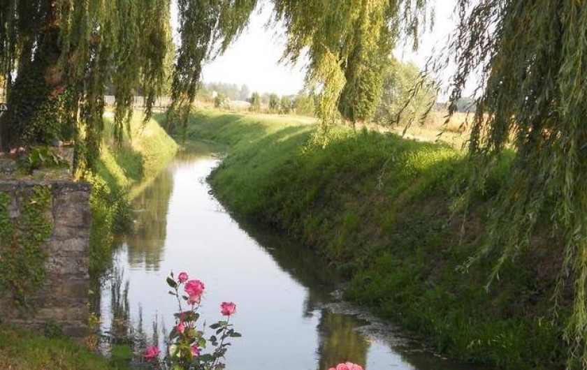 Location de vacances - Chambre d'hôtes à Mont-Dol - rivière