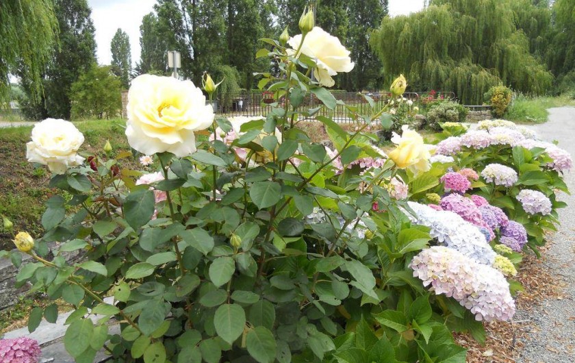 Location de vacances - Chambre d'hôtes à Mont-Dol