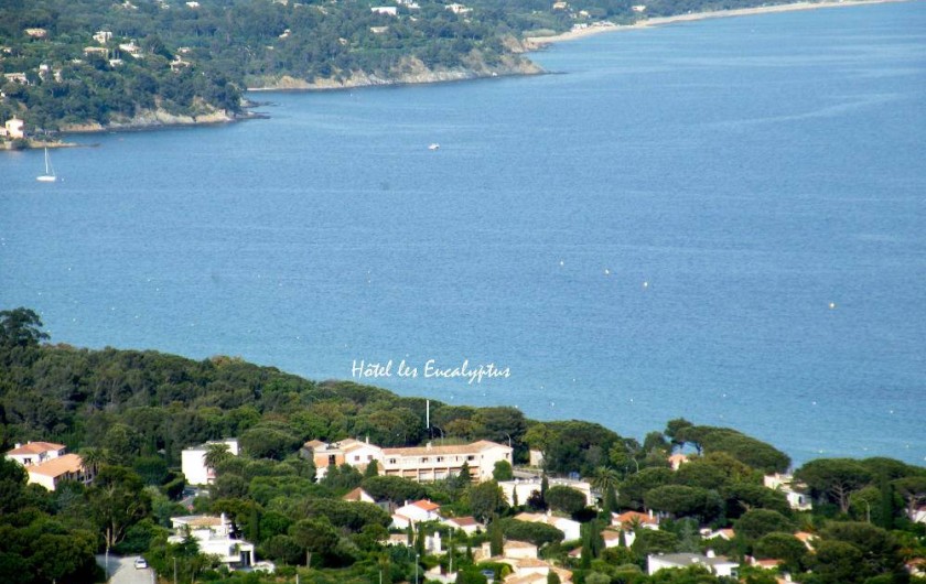 Location de vacances - Studio à Cavalaire-sur-Mer - L'Hôtel au cœur de la baie de Cavalaire