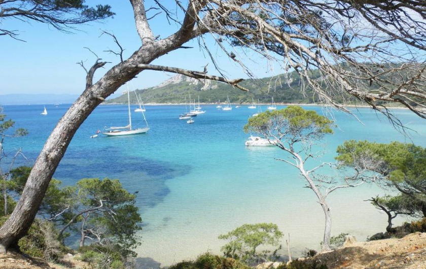 Location de vacances - Studio à Cavalaire-sur-Mer - La transparence de la mer