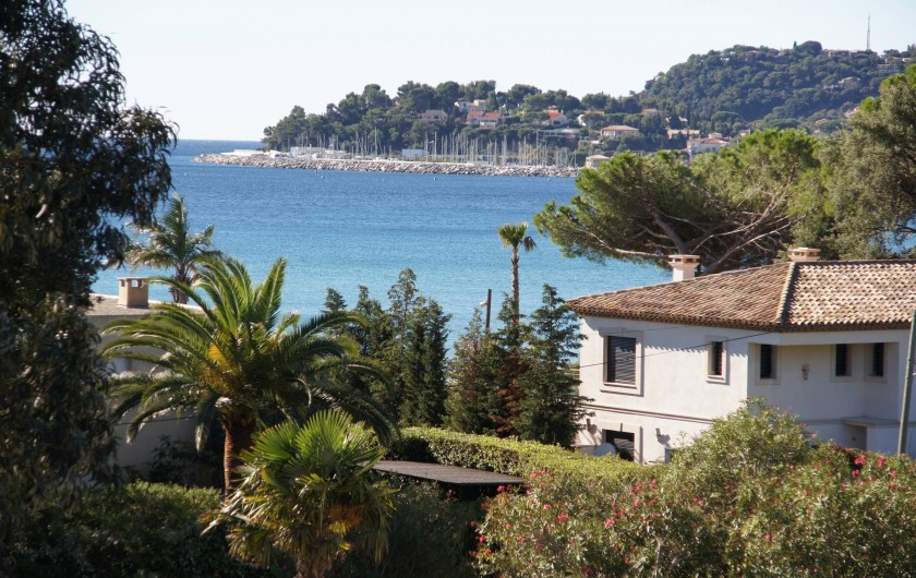 Location de vacances - Studio à Cavalaire-sur-Mer - Vue depuis un studio