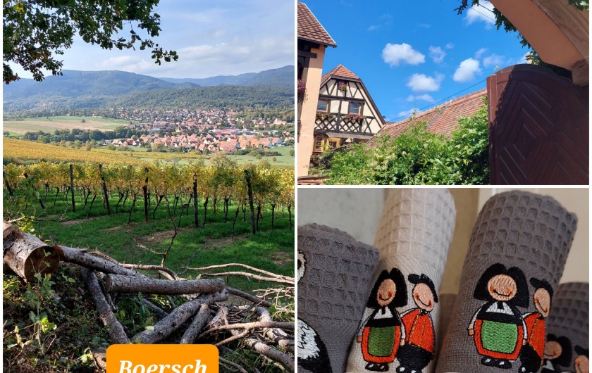 Location de vacances - Chalet à Bœrsch - Vue de Boersch. Ville médiévale