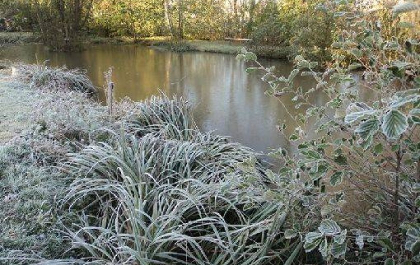 Location de vacances - Gîte à Niderviller