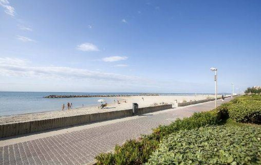 Location de vacances - Appartement à Palavas-les-Flots