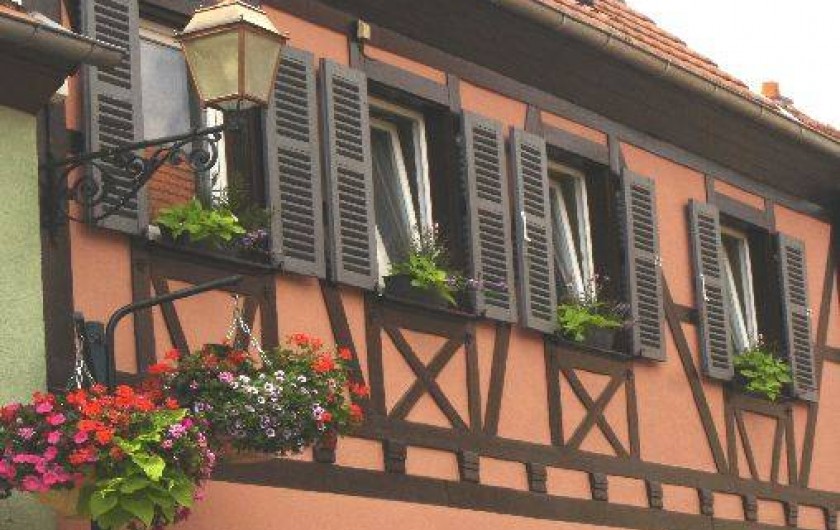Location de vacances - Chambre d'hôtes à Kintzheim