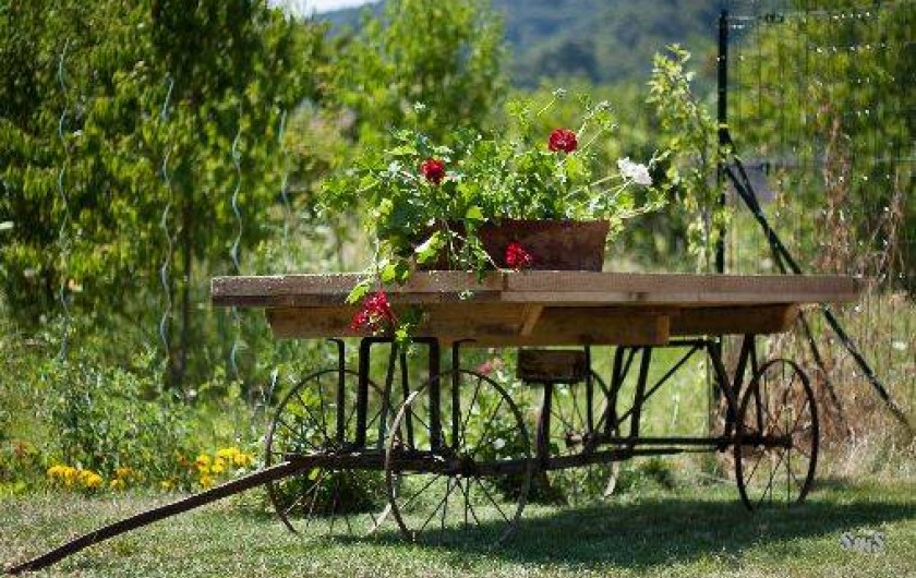 Location de vacances - Chambre d'hôtes à Kintzheim