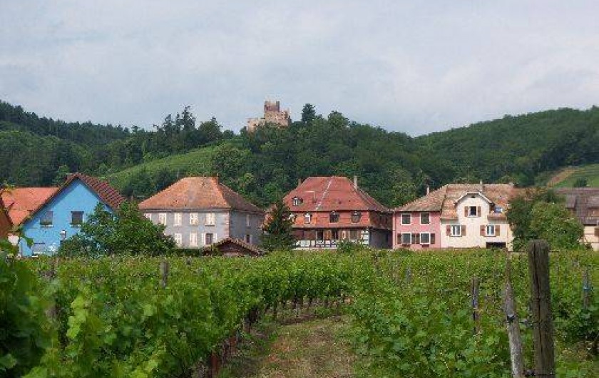 Location de vacances - Chambre d'hôtes à Kintzheim