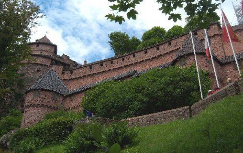 Location de vacances - Chambre d'hôtes à Kintzheim
