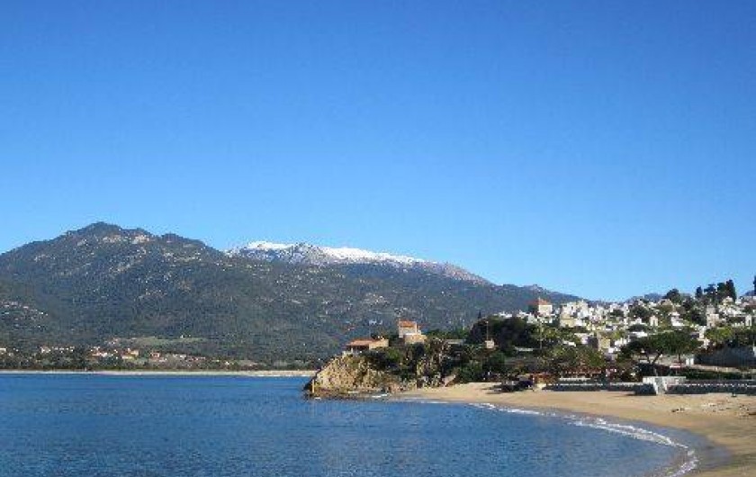 Location de vacances - Appartement à Propriano