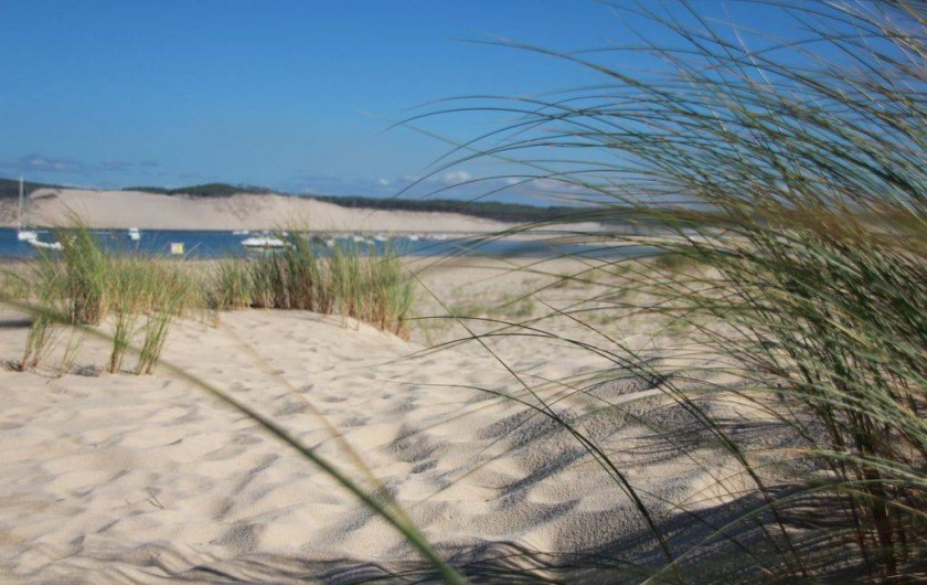 Location de vacances - Appartement à Arcachon