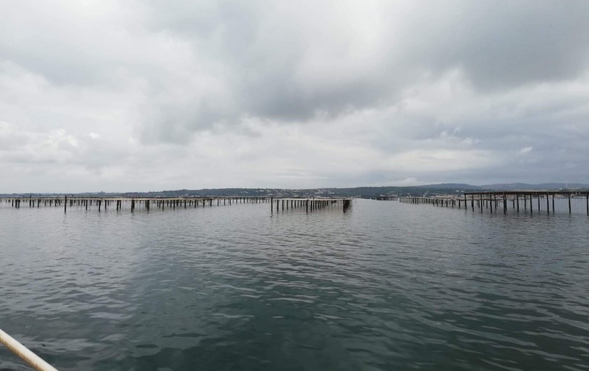 Location de vacances - Péniche à Frontignan - VISITE DES PARC A HUÎTRE DE BOUZIGUE PENDENT LA PROMENADE