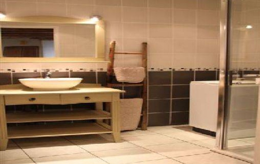 Location de vacances - Gîte à Rochepaule - coin salle de bain avec douche