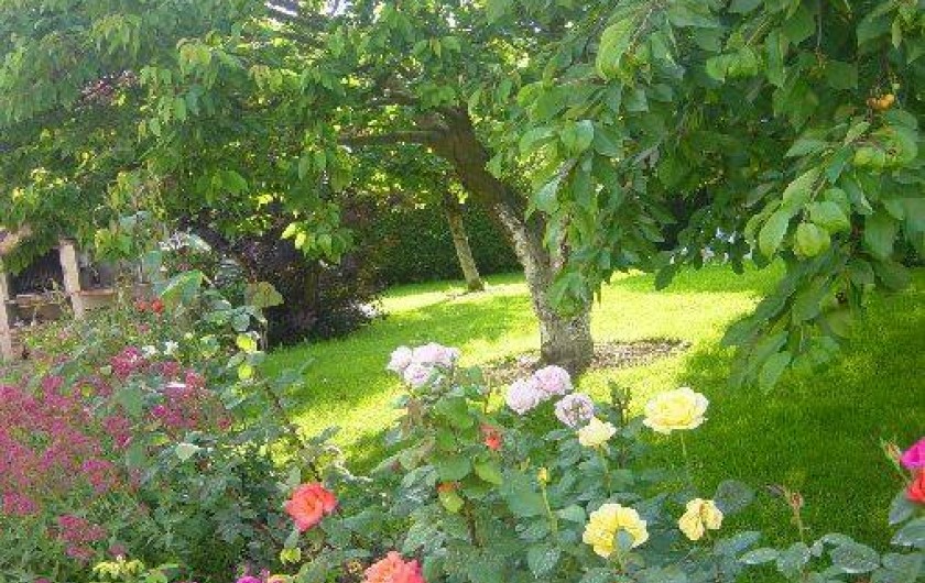 Location de vacances - Gîte à Ladoix-Serrigny - jardin