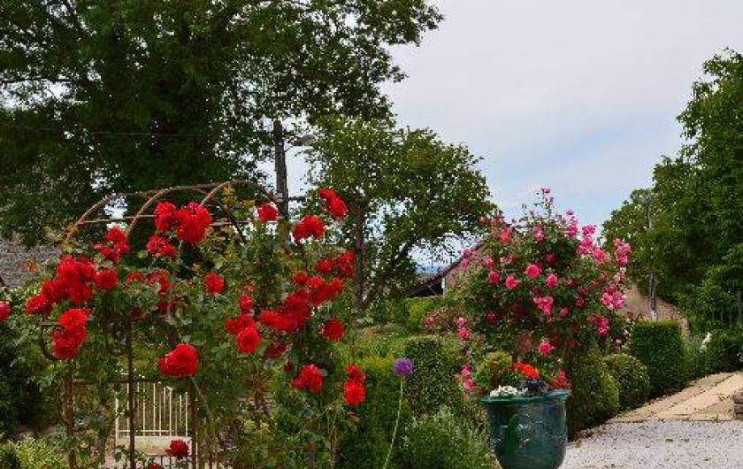 Location de vacances - Gîte à Ladoix-Serrigny - jardin